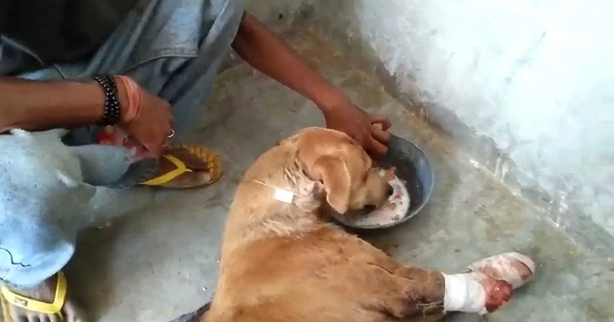 He Got Hit by a Train and Lost His Legs. but It''s What Happened Next That Made Me Cry!