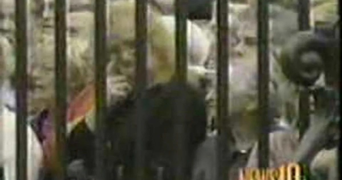 A person in a dark jacket stands behind vertical bars, possibly in a confined space.
