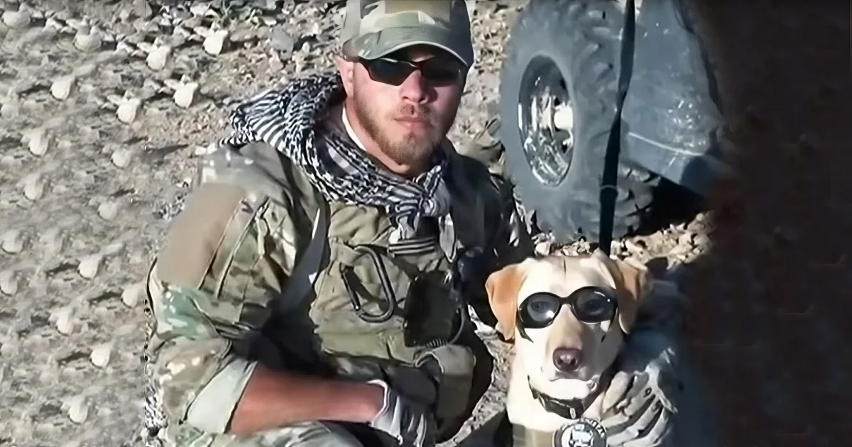 Nervous Soldier''s Waiting to Meet His Military Dog Once Again. but Watch When He Turns Around