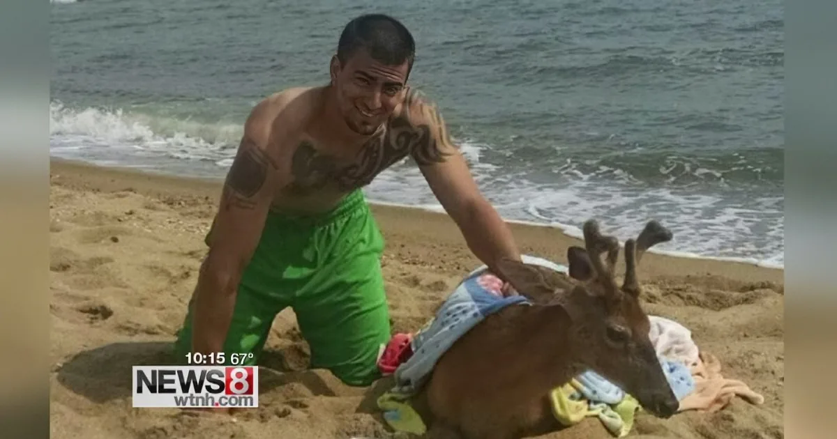 A man in green shorts is kneeling on a beach, smiling while holding a small deer.