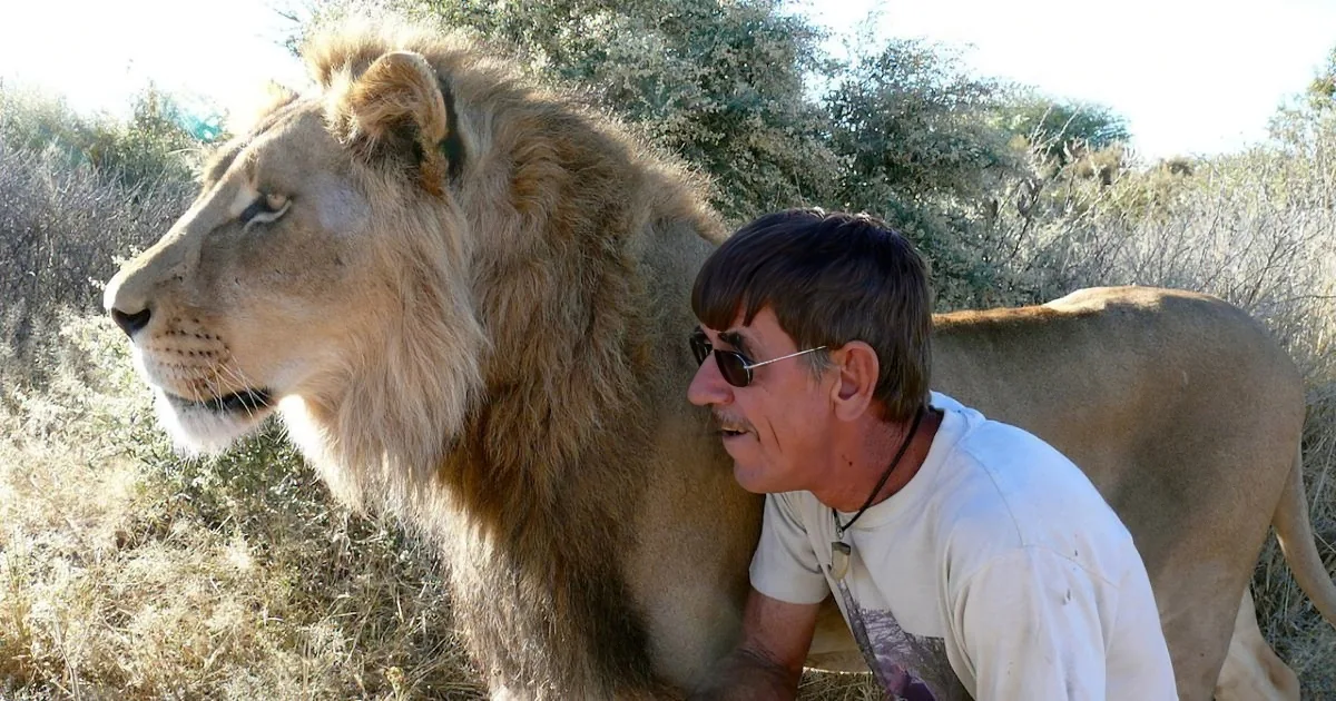 A man in sunglasses leans close to a lion in a natural setting, surrounded by dry grass and bushes.