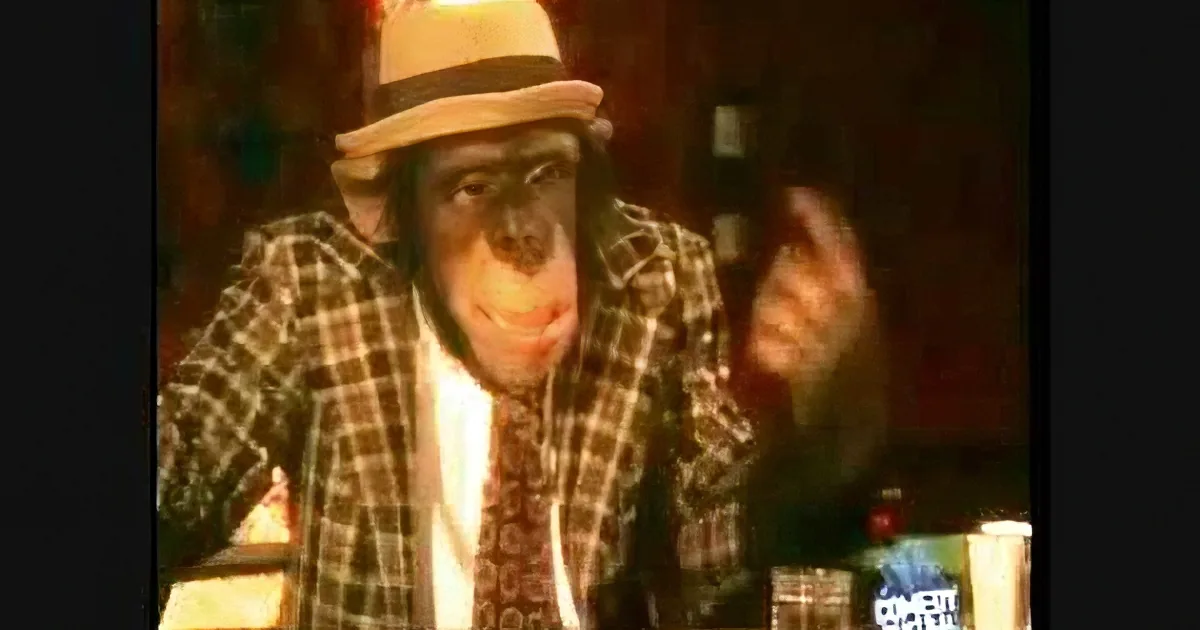 Monkey Walks Into a Bar & Tells a Joke to the Bartender. Now Listen Closely to What He Says...