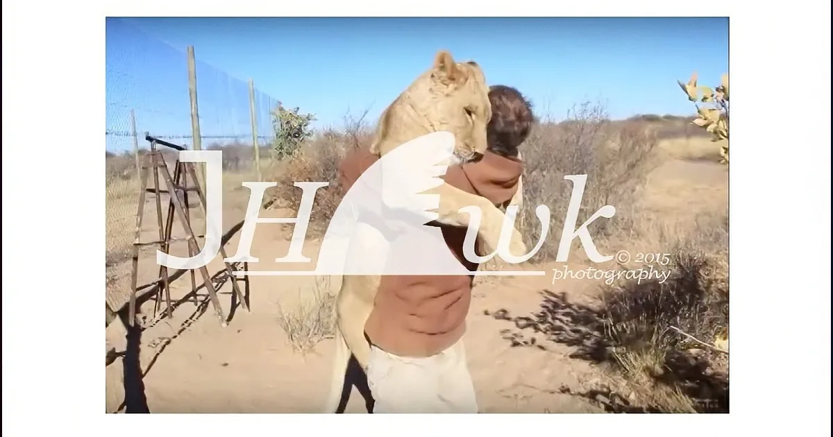 When He Frees This Lion From Its Cage, I Didn''t Expect Him to React This Way!
