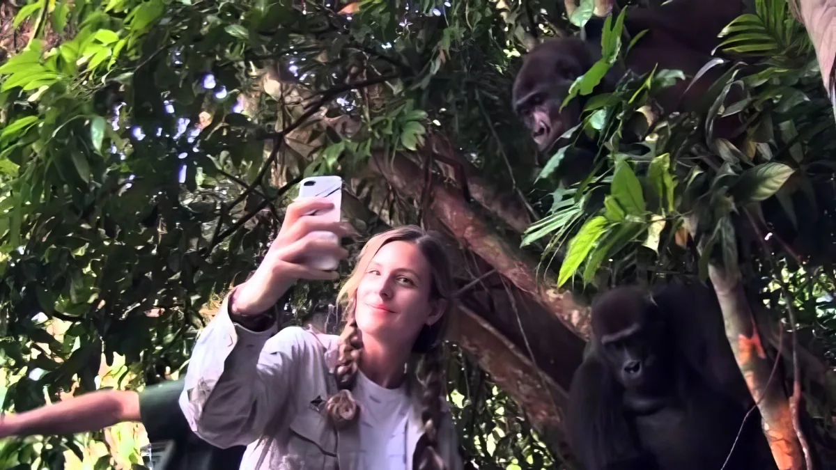This Baby Girl and That Gorilla Are Best Friends. When They Reunite After 12 Years...