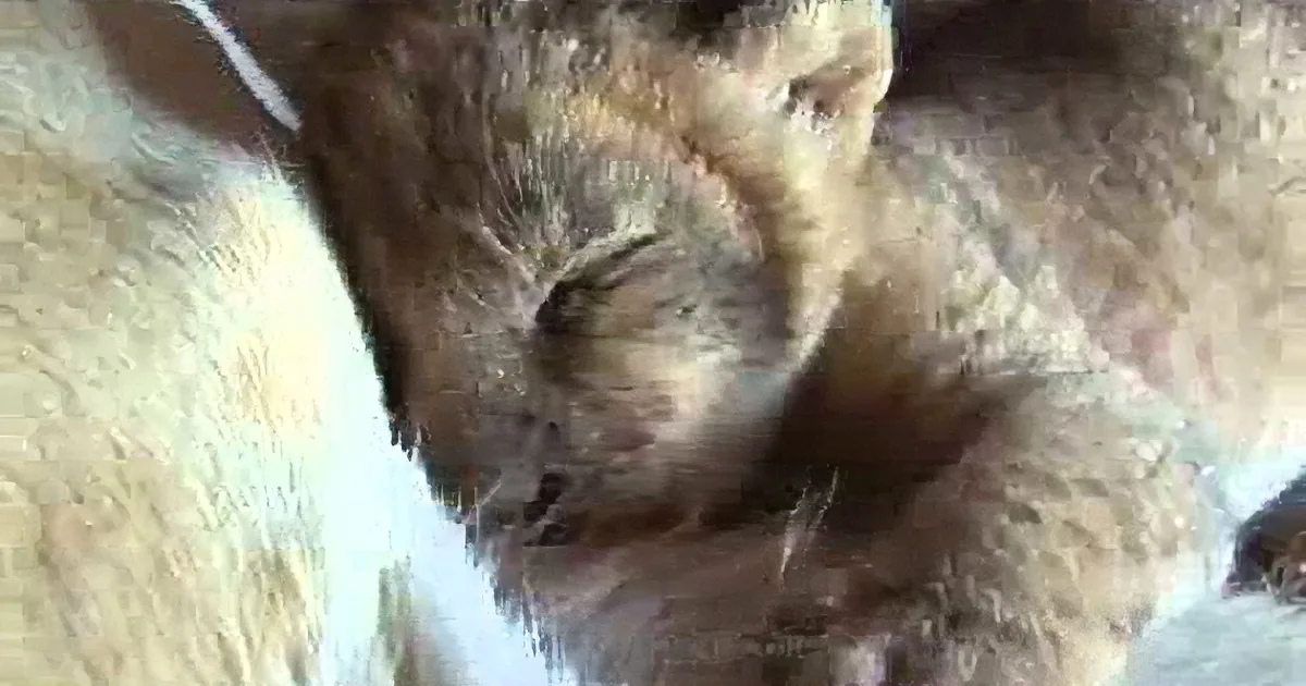 When He Approached That Lioness, I Had My Fingers Crossed. but Her Reaction? This Is Glorious!