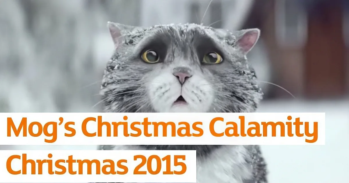 A surprised cat with snow on its head and whiskers, text reads "Mog's Christmas Calamity, Christmas 2015."