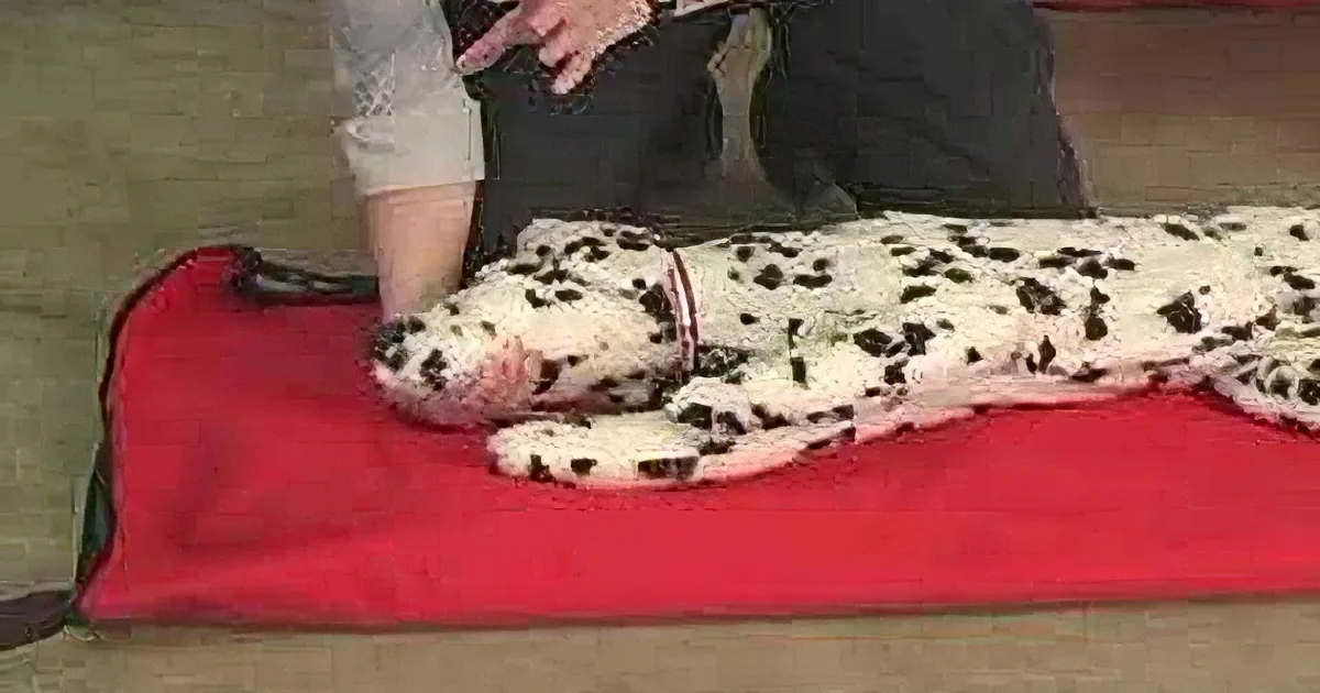 She Puts Her Hand on That Dalmatian. but What She Did Next? This Could Save Your Pet''s Life