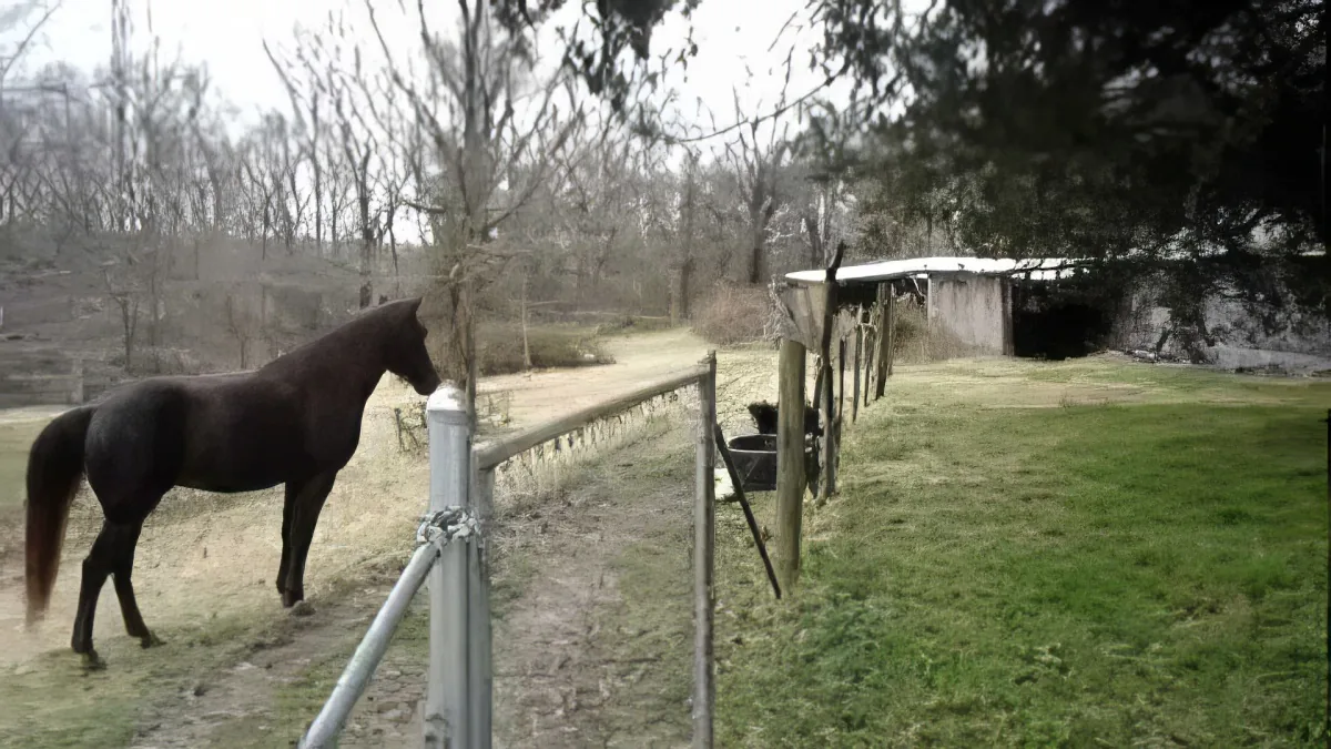 This Horse Is Best Friends With That Dog. but When the Dog Takes His Toy? Rofl!