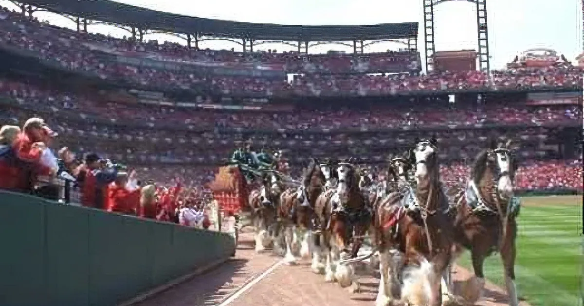 Clydesdales Trotted Inside the Arena. but Wait Till You See Who They''re Pulling! You''ll Be Moved!