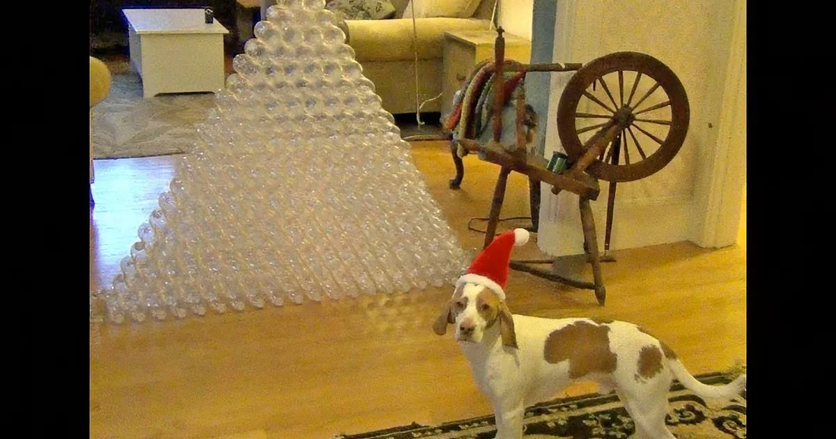 A dog wearing a Santa hat stands in front of a pyramid of plastic bottles in a living room.