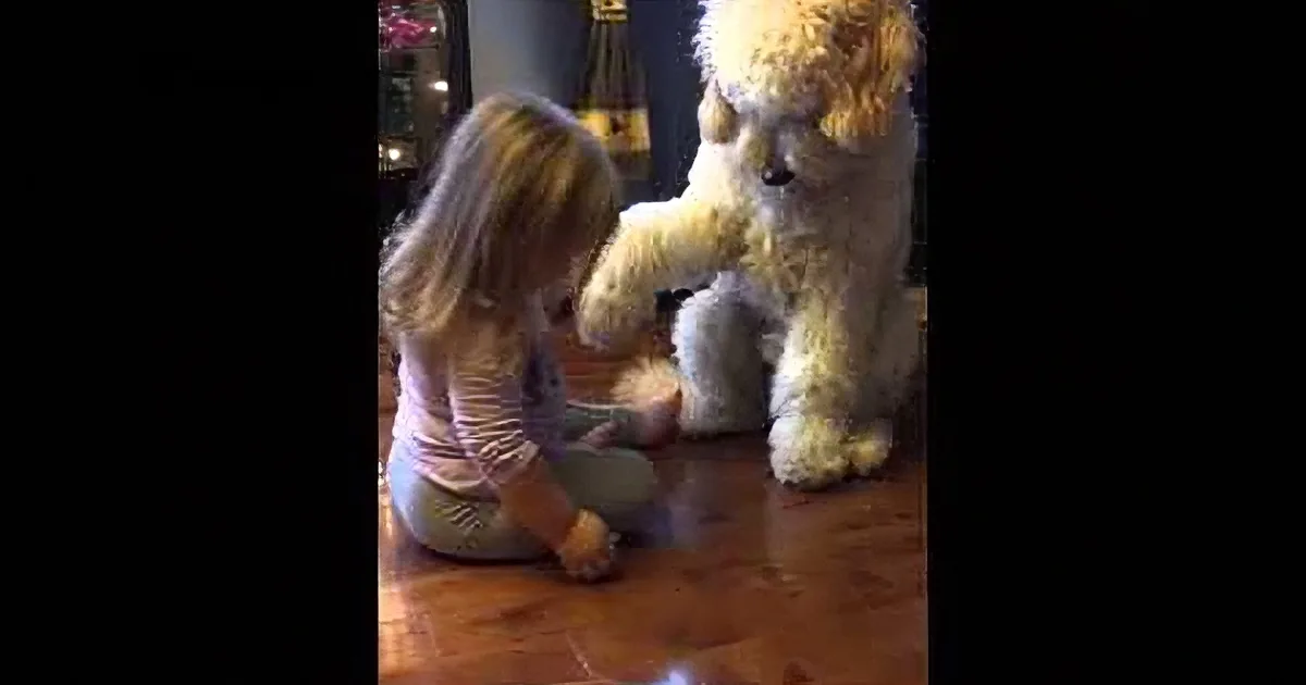 3-Year-Old Girl Asks Her Dog for His Paw. His Reaction? You Have Got to See This!