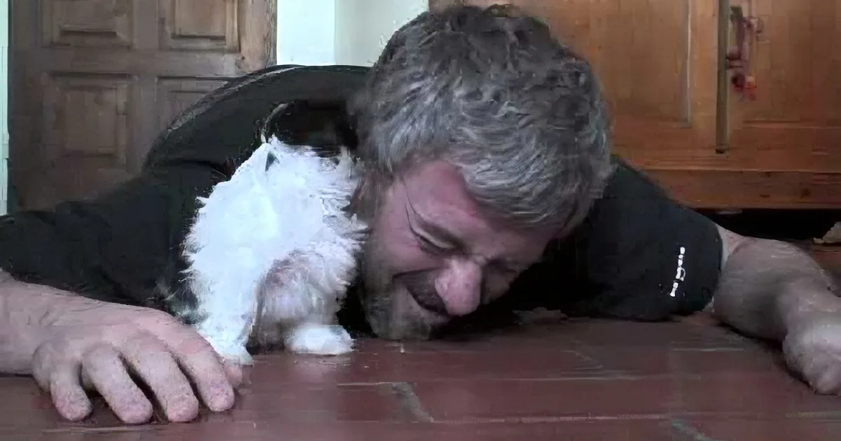 He Lied Down Next to His Little Puppy on the Floor and the Cutest Thing Happens... Aww!