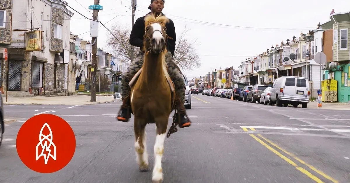 When This Horse Trots Down the Streets, Watch Who''s Riding on His Back