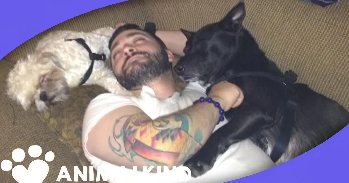 A man with a beard and tattoos sleeps on a couch, cuddled with two dogs, one white and one black.