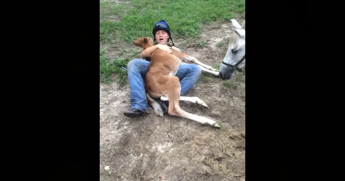 She Started Playing With This Little Filly. but She Never Expected the Horse to Do This!