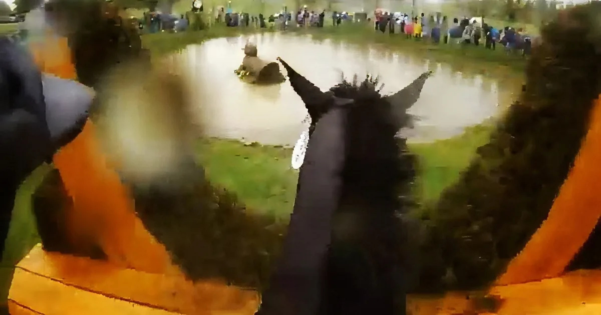 A horse stands on a wooden platform, facing a pond with a person in the water, surrounded by spectators.