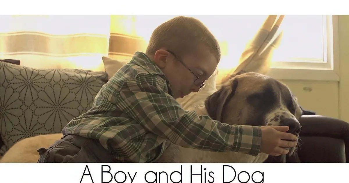 A boy in a plaid shirt hugs a dog on a couch, with sunlight streaming through a window.