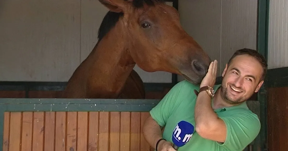 He Is Trying to Film a Report. Now Keep a Close Eye on That Silly Horse Behind Him...