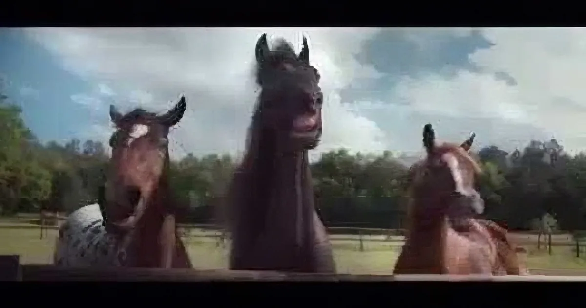 He Was Having a Hard Time Backing up His Trailer. but What the Farm Horses Did Next Is Priceless!