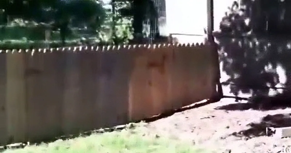 Dad Is Very Proud of the Fence He Built His Dog. but What the Dog Does Next? Rofl!