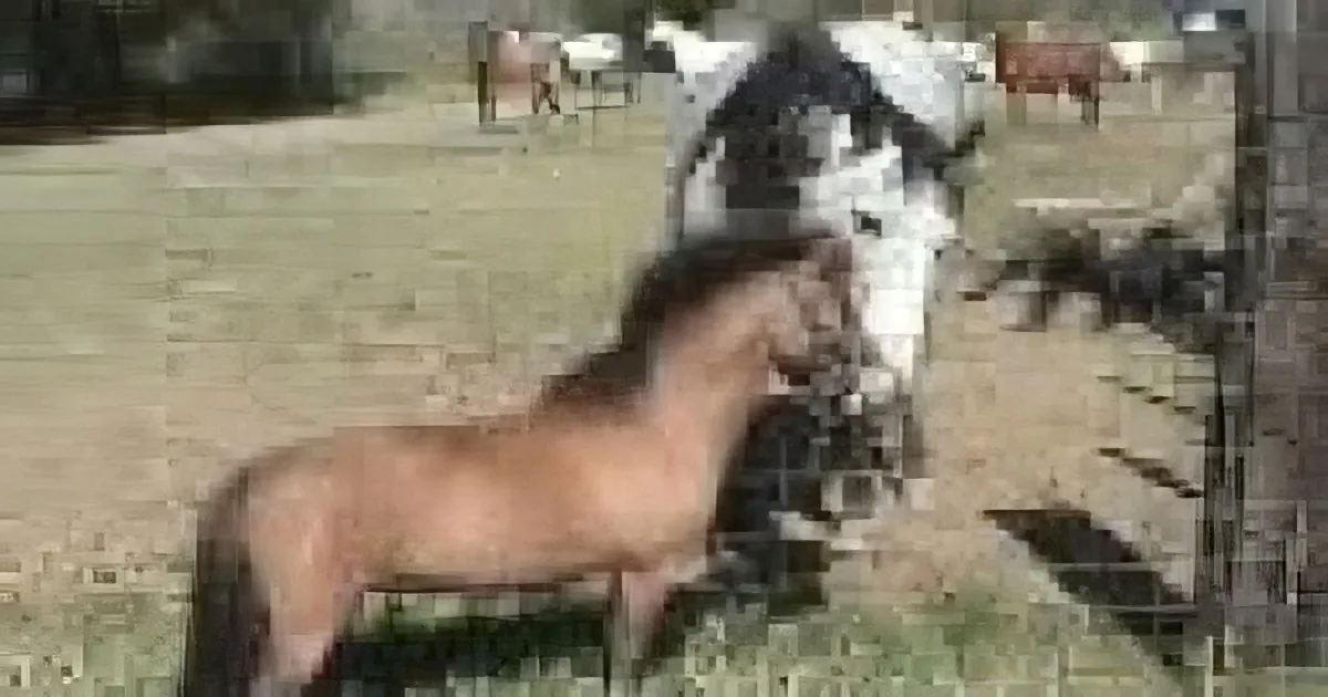 5 Horses Lined up at the Fence. but Wait Till You See the Little Creature Standing Below Them!