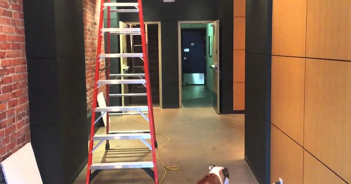 Bulldog Is Terrified to Cross Over That Cable. but Wait Till You See His Brilliant Plan! Rofl!