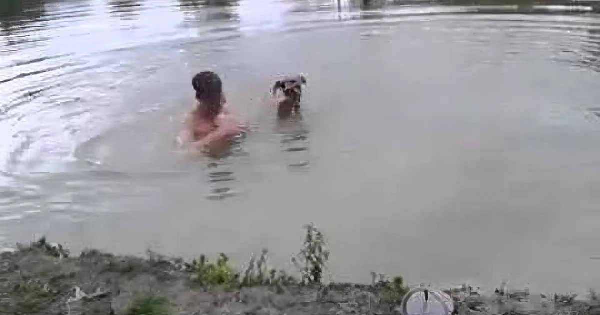 Human Pretends to Drown in Front of His Dog. but the Dog''s Response? I Can''t Believe My Eyes!