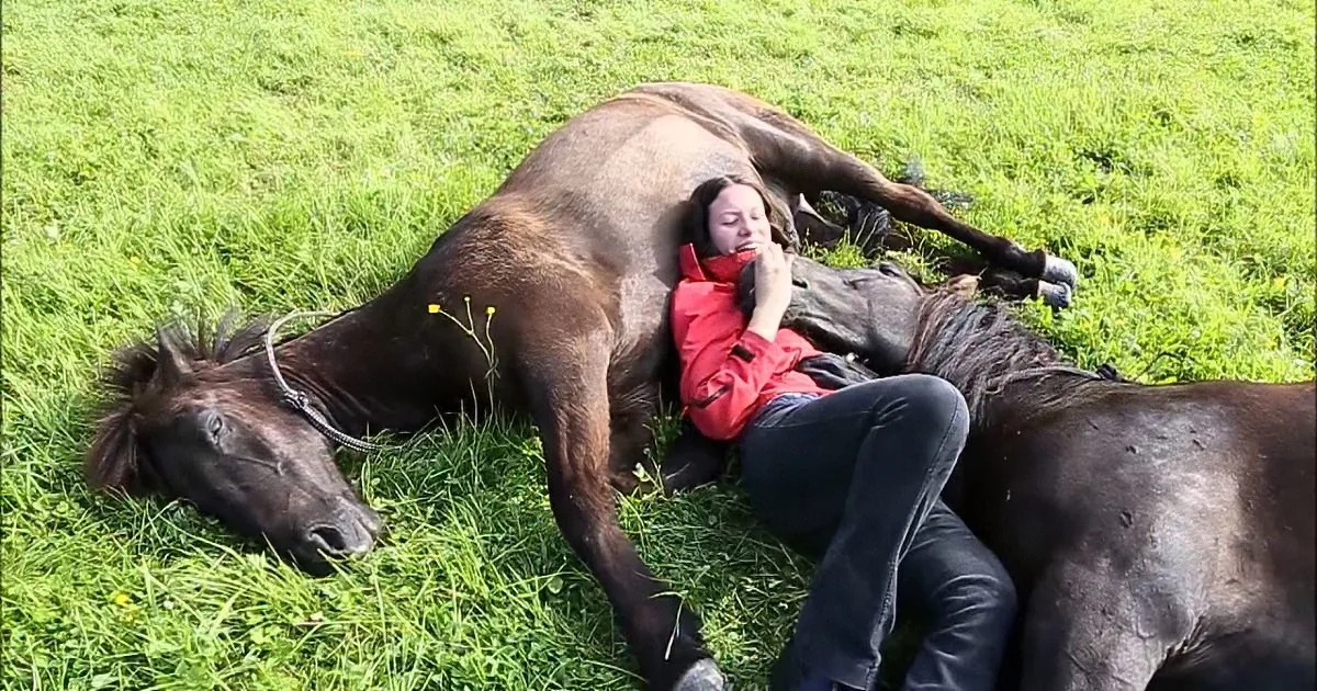 Woman Shows off Her Bond With 2 Horses. When She Did This? I Couldn''t Believe My Eyes