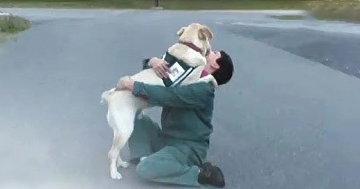 A man in green kneels on a road, hugging a large dog wearing a harness.