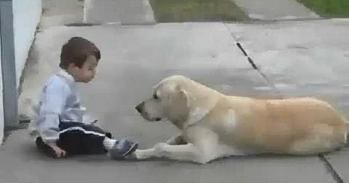 A young boy sits on the ground, interacting with a large, light-colored dog on a sidewalk.
