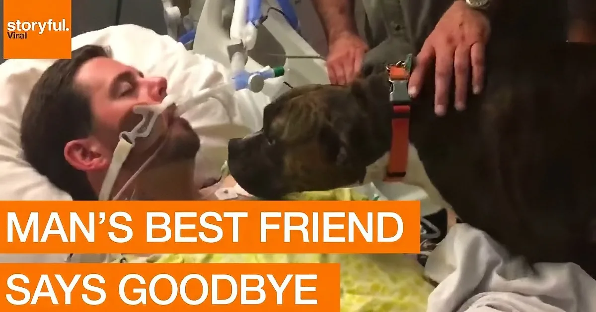 A man in a hospital bed with an oxygen mask, surrounded by medical equipment, is comforted by a dog wearing a red collar.