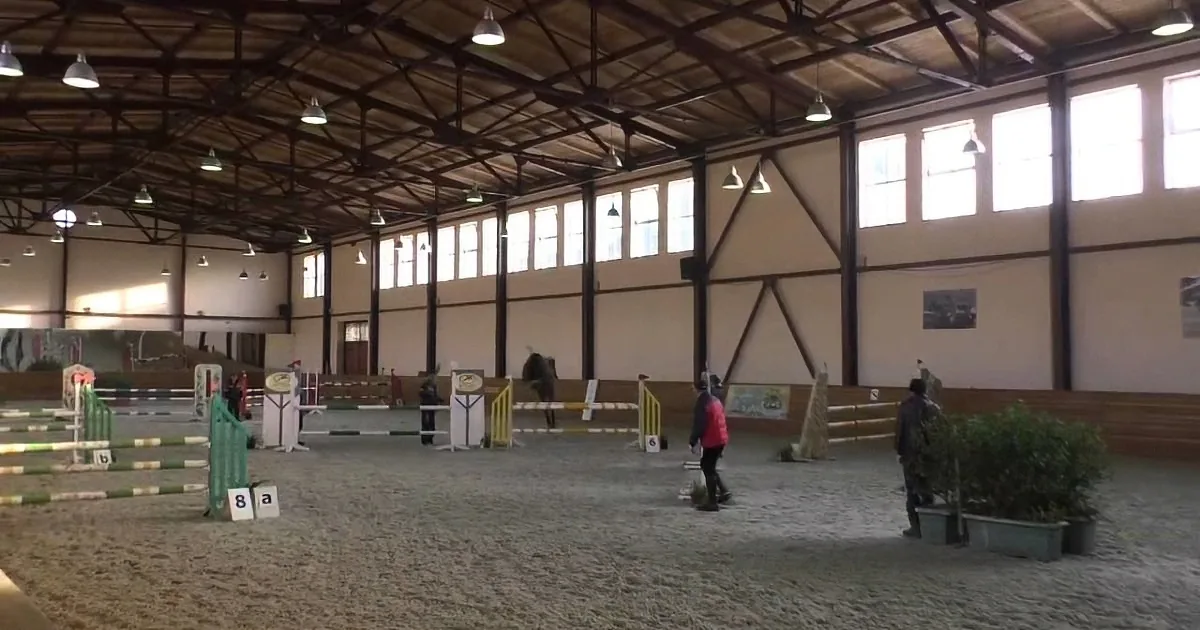 His Rider Started Falling From the Saddle. but What This Horse Did Next?