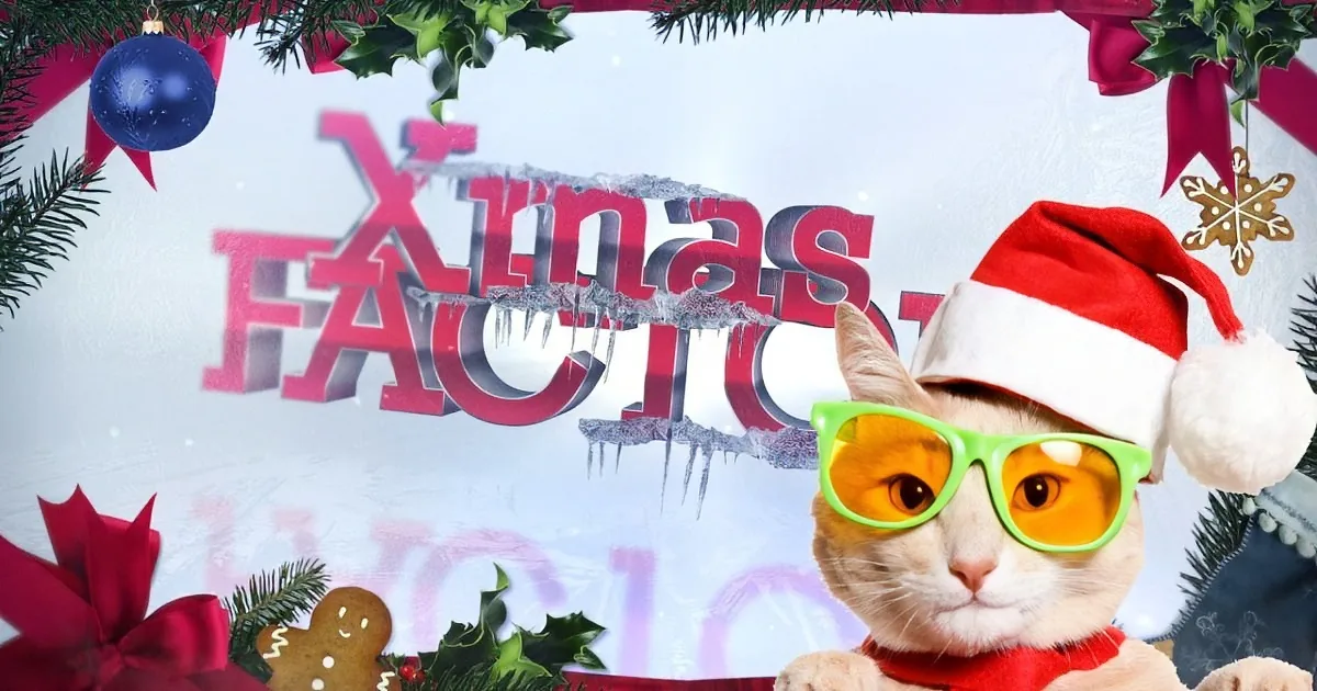 A festive cat wearing a Santa hat and sunglasses, surrounded by Christmas decorations and the text "Xmas Factor."