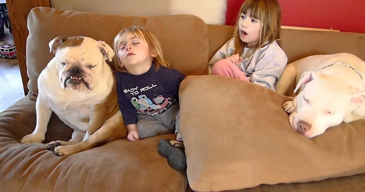 Two children and two dogs, one asleep, sit on a brown couch, creating a cozy scene.