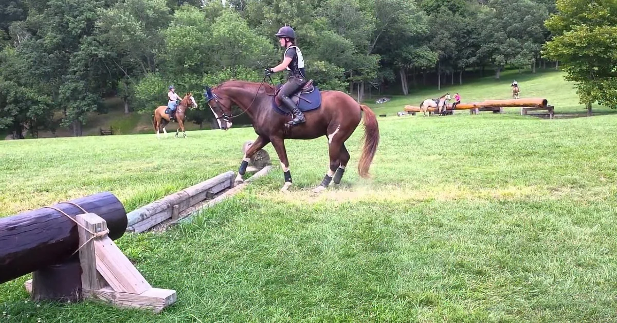 A rider on a brown horse jumps over a log obstacle in a grassy field with other riders and obstacles in the background.