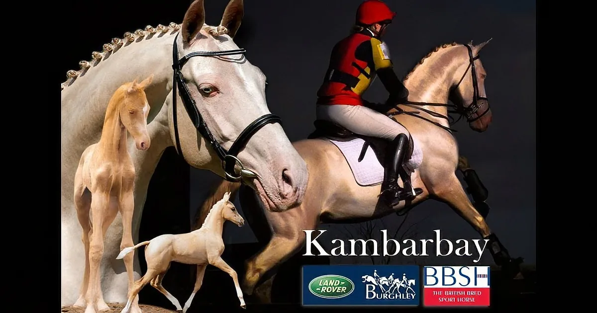 A rider on a horse with two foals, set against a dark background.