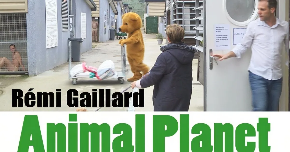 She Takes a Lost Dog to a Kill Shelter. but Then a Hidden Camera Records the Unthinkable!