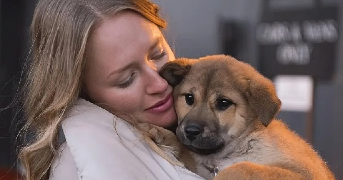 When These Dogs Were About to Get Slaughtered This Happens... I Am Still Shivering!