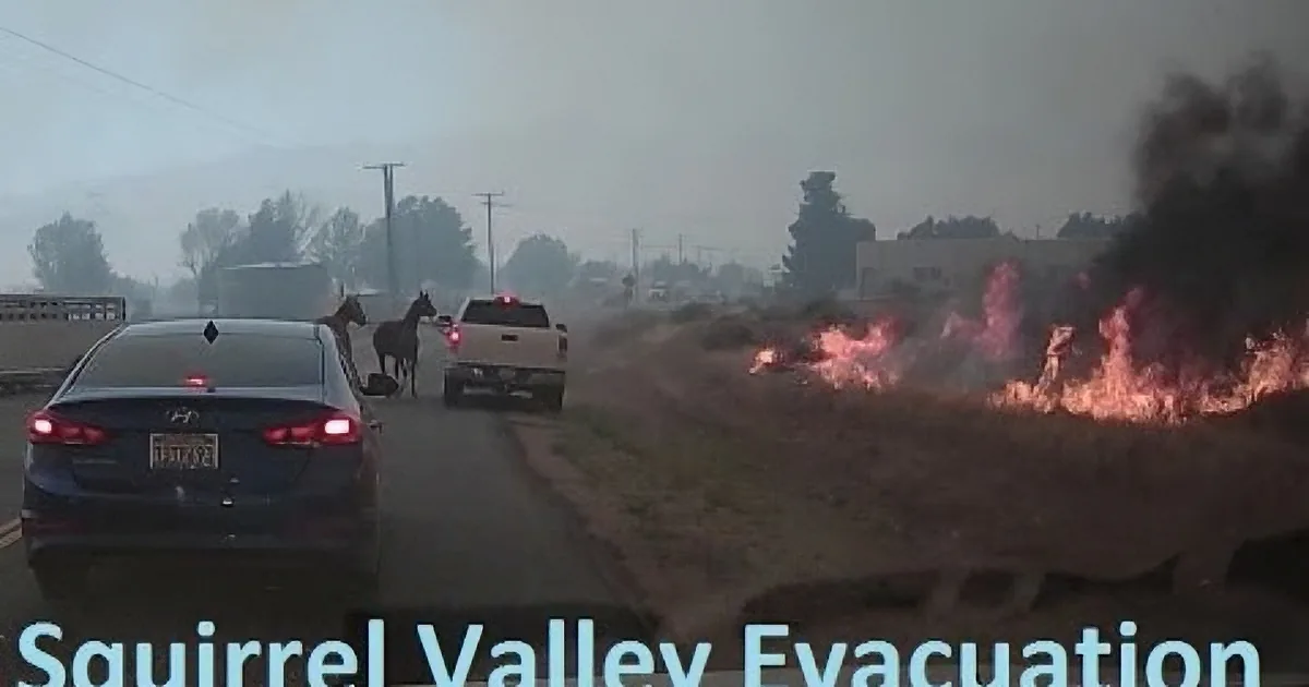 2 Horses Are Trapped in a Wildfire. but Don''t Take Your Eyes off of That White Pick up Truck...
