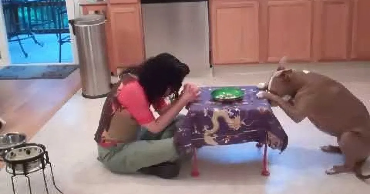 Dog Heard Her Mom Sneeze. but Wait Till You See Her Reaction! I Can't Believe My Eyes!