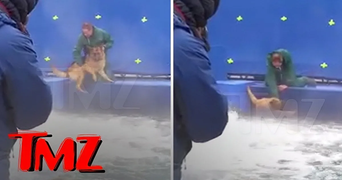 A dog is being lifted by a person in a snowy environment, with another person in the foreground.