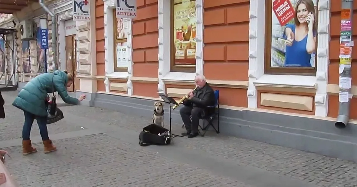 A street musician plays trumpet while a dog sits nearby as a passerby bends to interact.