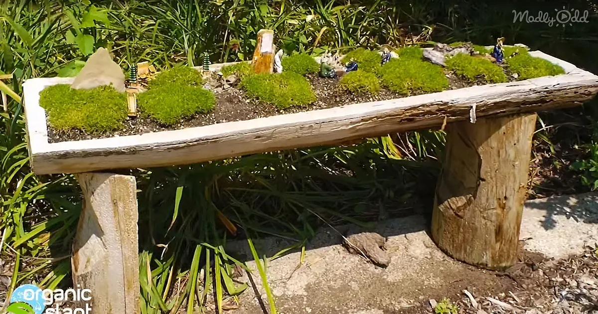 Diy Garden Log Planter Is Loaded With Country Charm (Video)