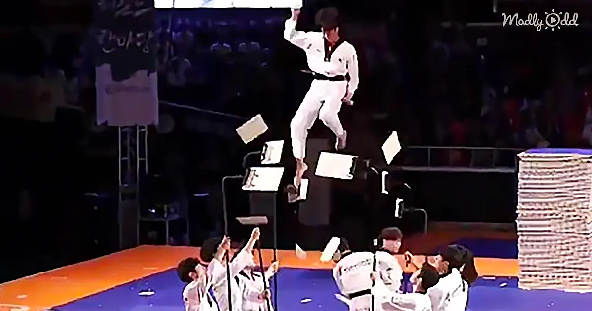 South Korean Taekwondo Team Goes Viral With Their Startling Martial Arts Skills