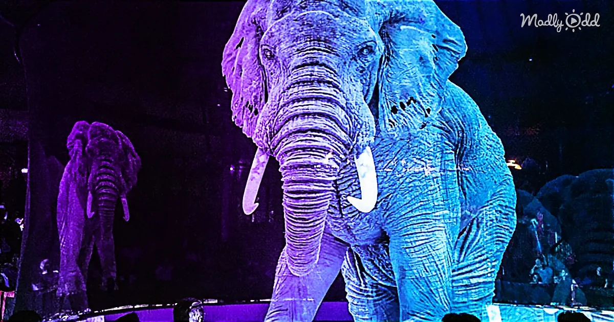 A large elephant with illuminated blue and purple lighting stands prominently in the foreground.