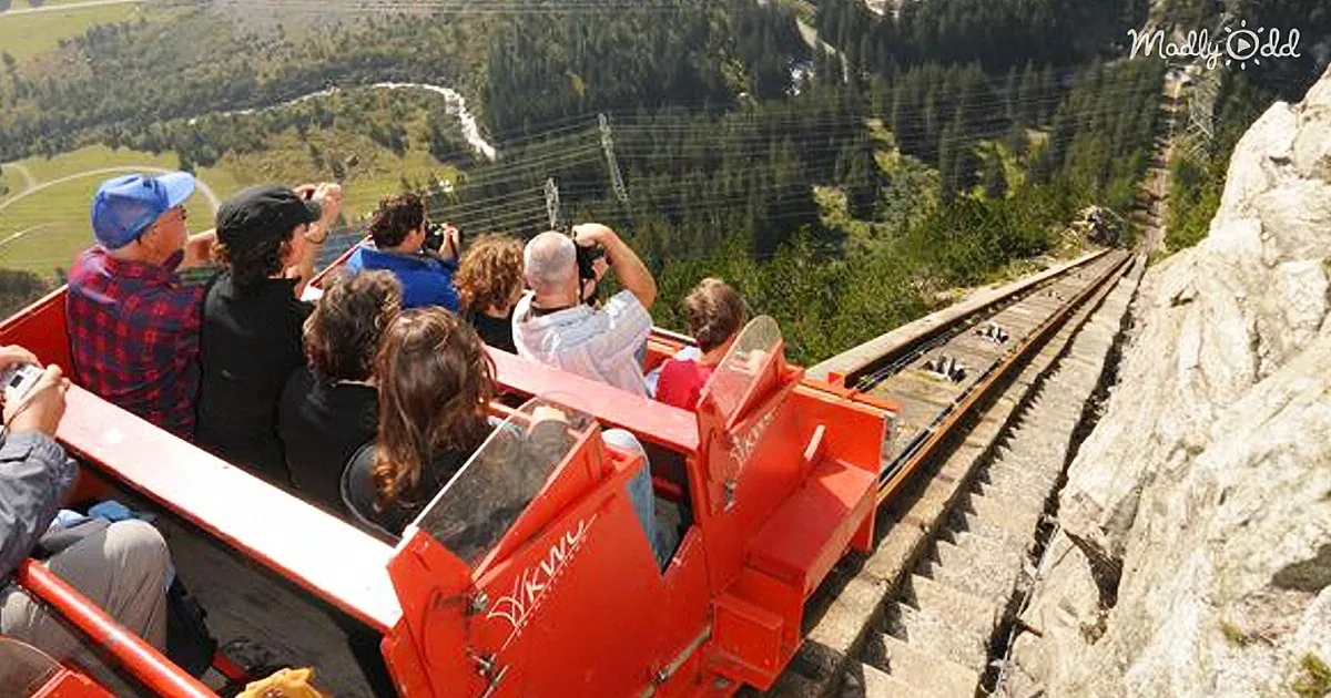 People ride a red roller coaster-like vehicle on a steep cliff edge, overlooking a forested valley.