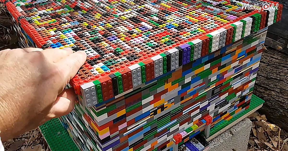 Un-Bee-Lievable: This Colorful Lego Beehive Is Home to 10,000 Happy Honey Bees