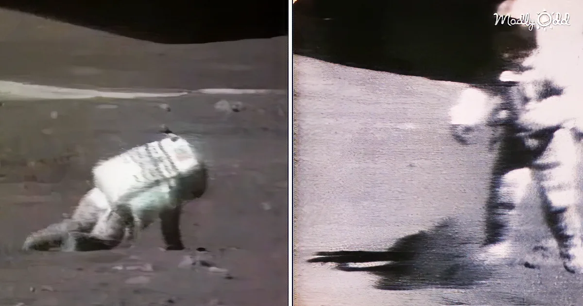 You'll Get a Giggle From This Vintage Video of Astronauts Falling Over the Moon