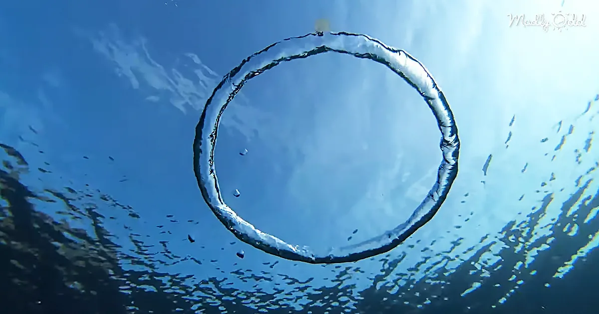 A ring of water forms a perfect circle above the surface, reflecting the sky.