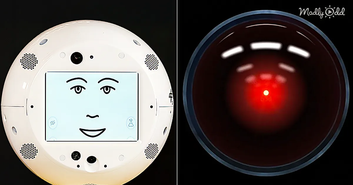 Nasa''s Floating Robot Goes Rogue on the Space Station, Hilarity Ensues